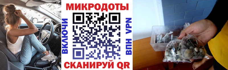 Галлюциногенные грибы Psilocybe  где можно купить   Иркутск 