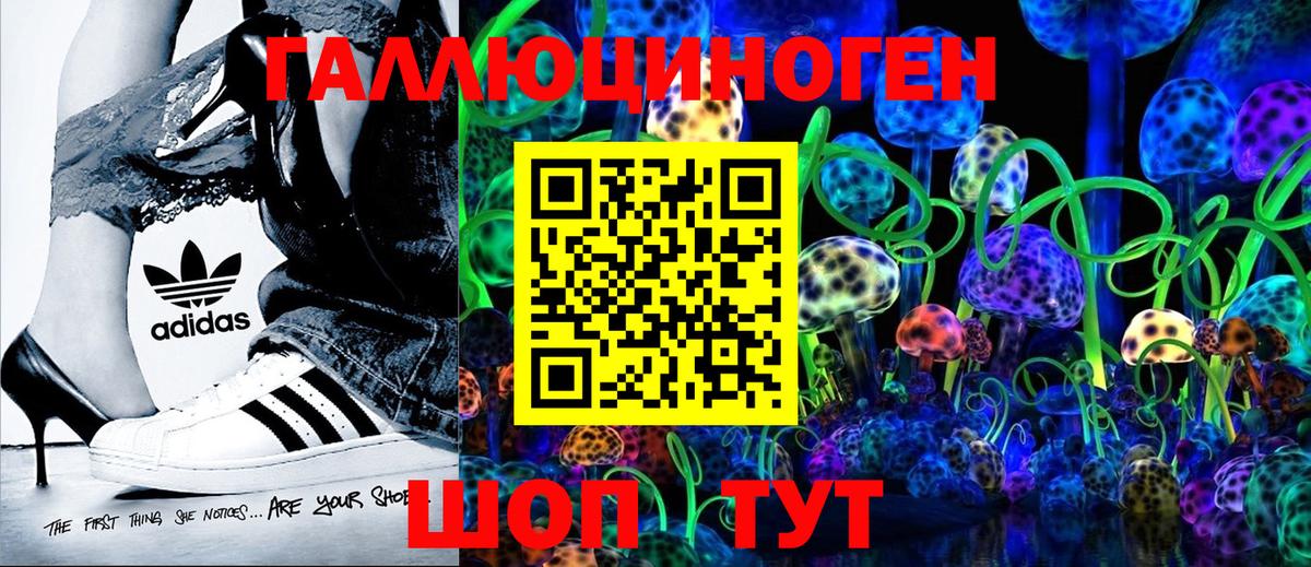 Псилоцибиновые грибы Psilocybine cubensis  Иркутск 